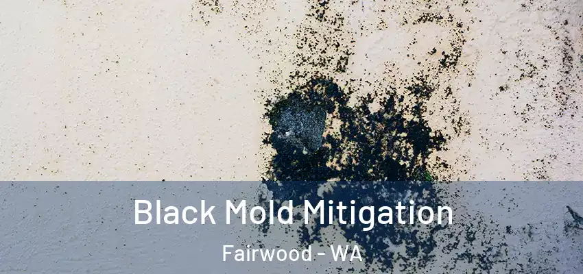 Black Mold Mitigation Fairwood - WA