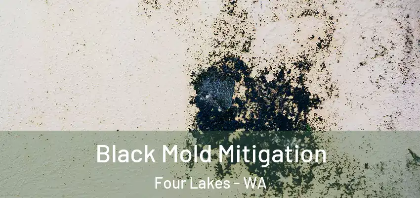  Black Mold Mitigation Four Lakes - WA