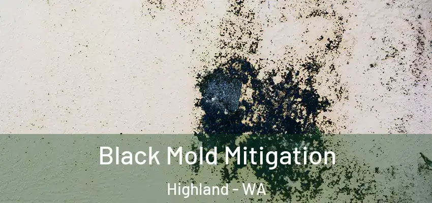 Black Mold Mitigation Highland - WA