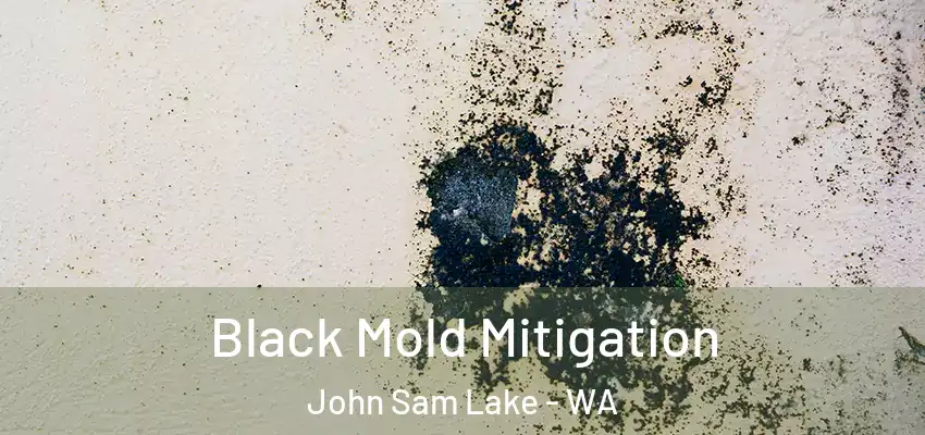  Black Mold Mitigation John Sam Lake - WA