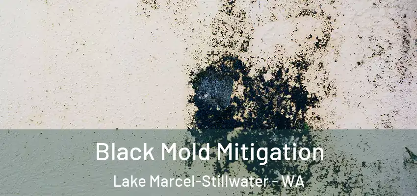  Black Mold Mitigation Lake Marcel-Stillwater - WA