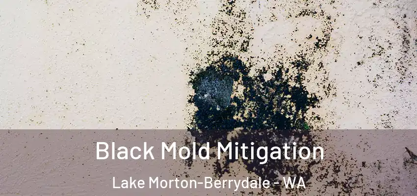 Black Mold Mitigation Lake Morton-Berrydale - WA