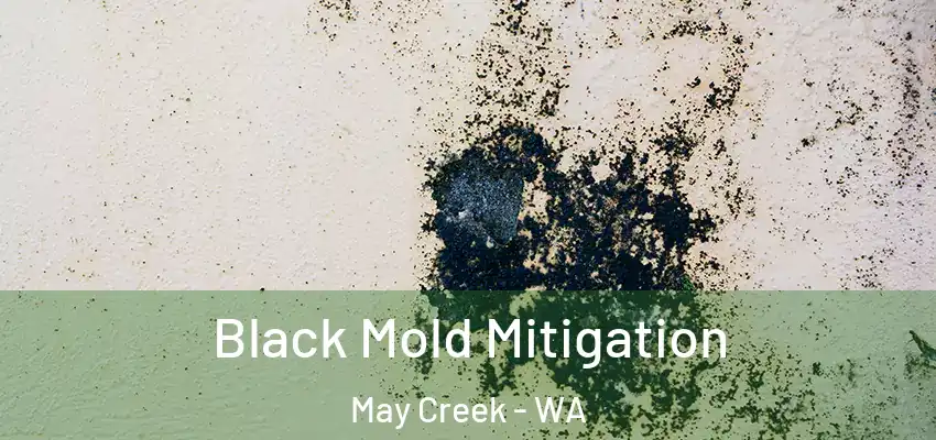  Black Mold Mitigation May Creek - WA
