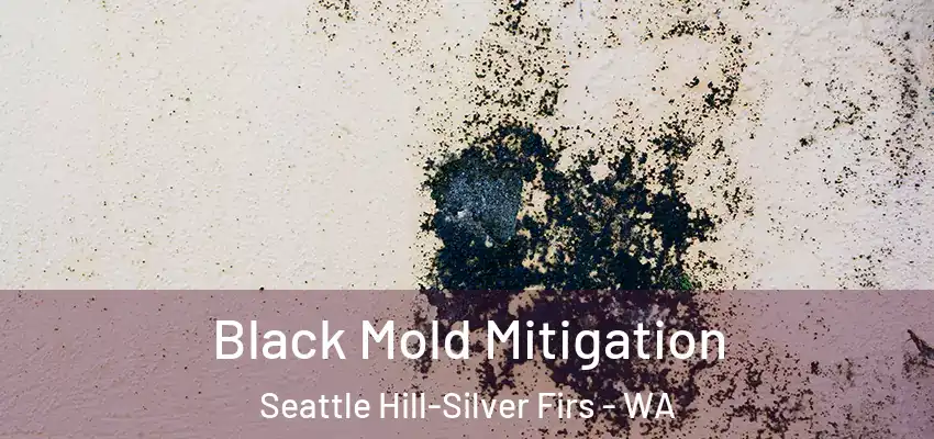  Black Mold Mitigation Seattle Hill-Silver Firs - WA