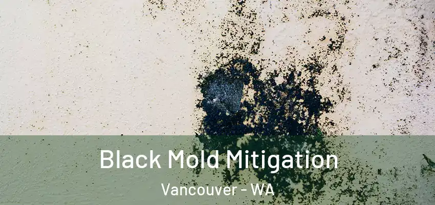  Black Mold Mitigation Vancouver - WA