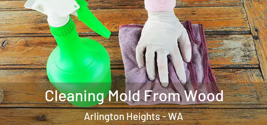  Cleaning Mold From Wood Arlington Heights - WA
