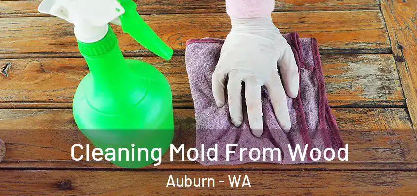  Cleaning Mold From Wood Auburn - WA