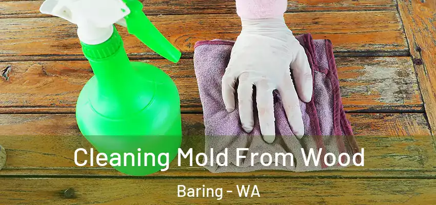  Cleaning Mold From Wood Baring - WA