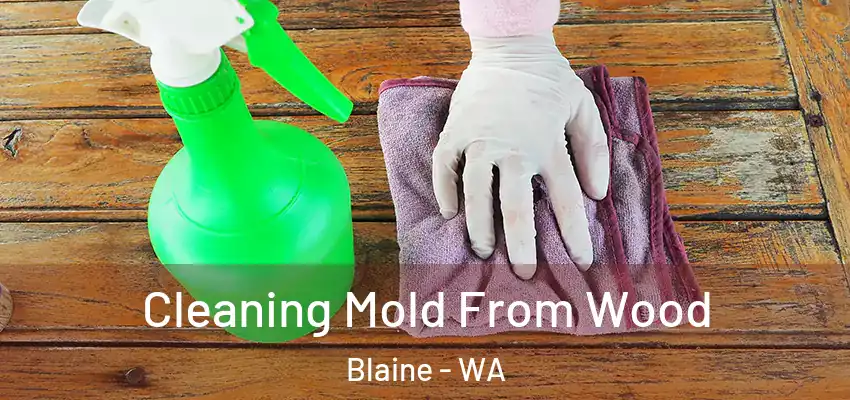 Cleaning Mold From Wood Blaine - WA
