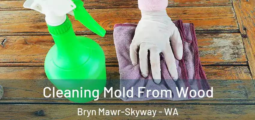  Cleaning Mold From Wood Bryn Mawr-Skyway - WA