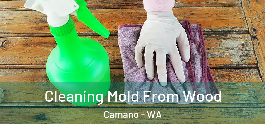  Cleaning Mold From Wood Camano - WA