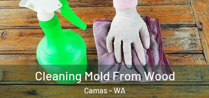  Cleaning Mold From Wood Camas - WA