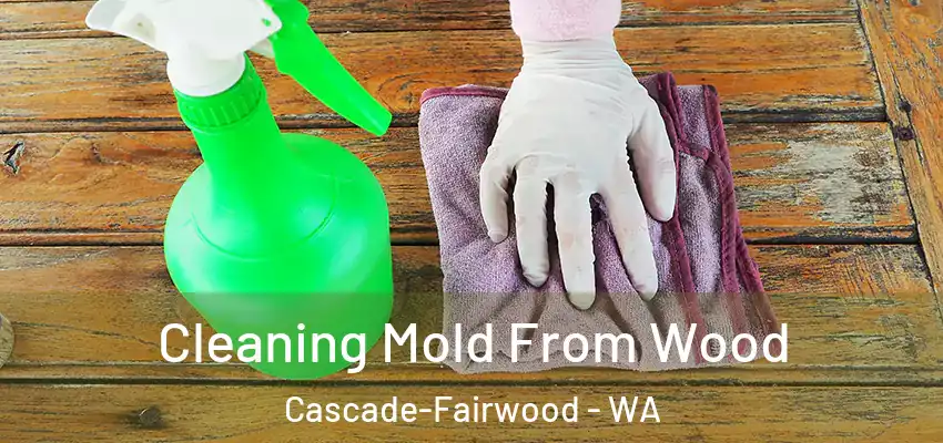  Cleaning Mold From Wood Cascade-Fairwood - WA