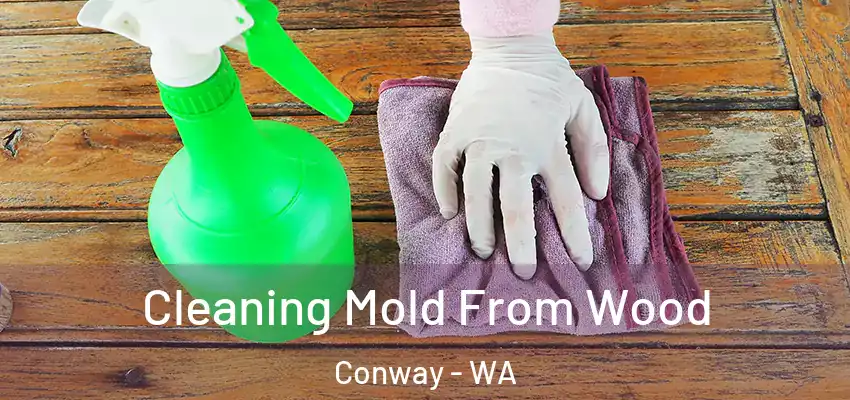  Cleaning Mold From Wood Conway - WA