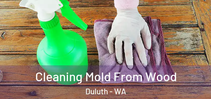  Cleaning Mold From Wood Duluth - WA