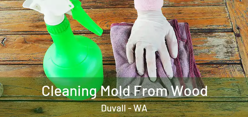  Cleaning Mold From Wood Duvall - WA