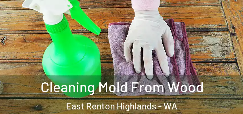  Cleaning Mold From Wood East Renton Highlands - WA