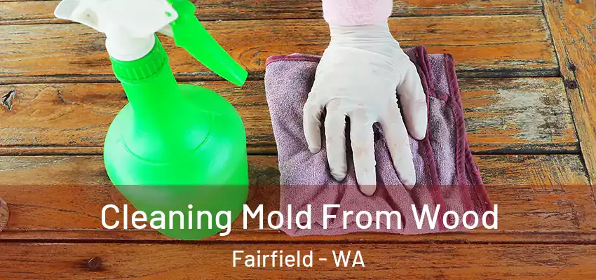 Cleaning Mold From Wood Fairfield - WA
