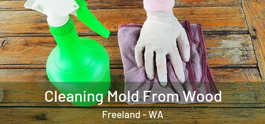 Cleaning Mold From Wood Freeland - WA