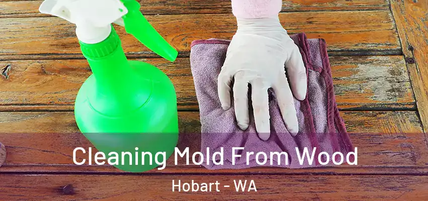 Cleaning Mold From Wood Hobart - WA