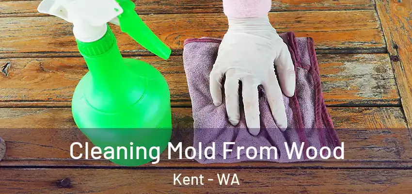  Cleaning Mold From Wood Kent - WA