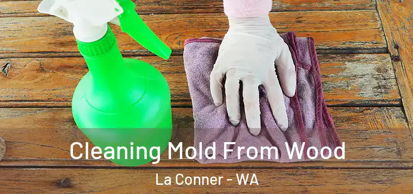  Cleaning Mold From Wood La Conner - WA