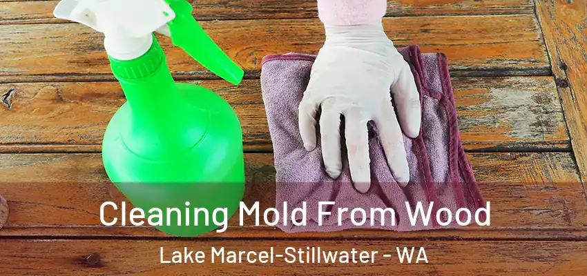  Cleaning Mold From Wood Lake Marcel-Stillwater - WA