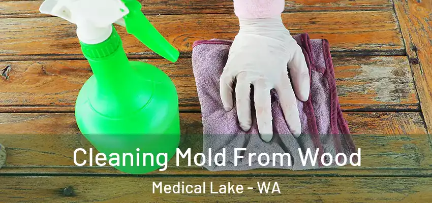  Cleaning Mold From Wood Medical Lake - WA