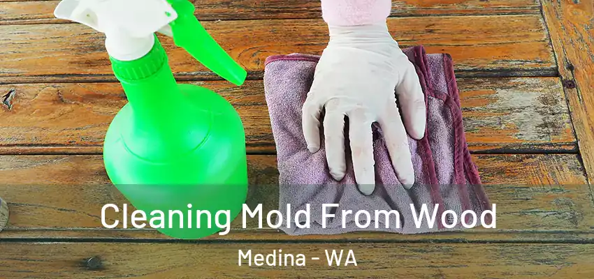 Cleaning Mold From Wood Medina - WA