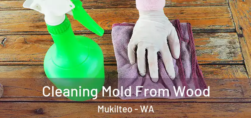 Cleaning Mold From Wood Mukilteo - WA