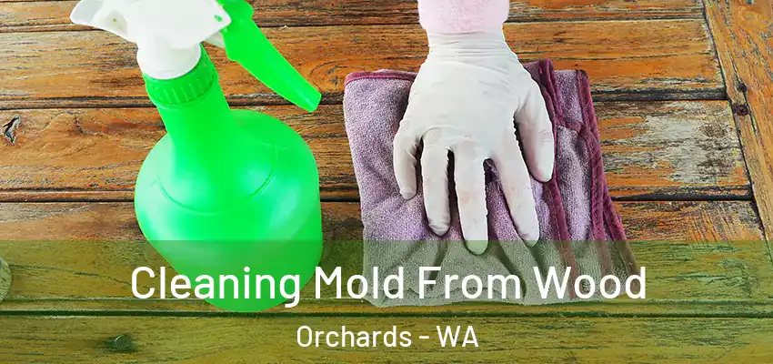  Cleaning Mold From Wood Orchards - WA