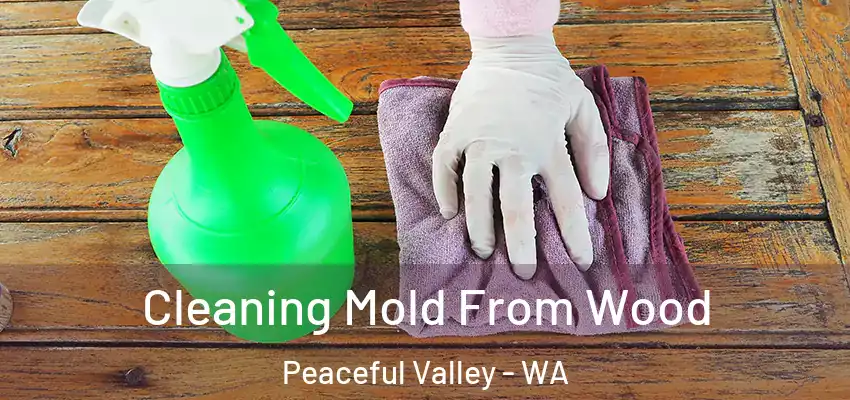 Cleaning Mold From Wood Peaceful Valley - WA