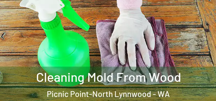  Cleaning Mold From Wood Picnic Point-North Lynnwood - WA