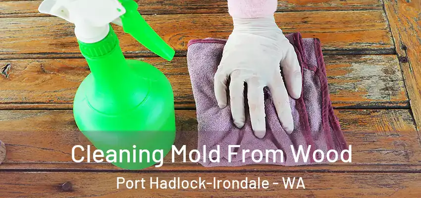  Cleaning Mold From Wood Port Hadlock-Irondale - WA