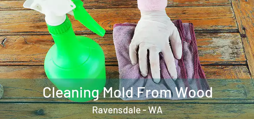  Cleaning Mold From Wood Ravensdale - WA