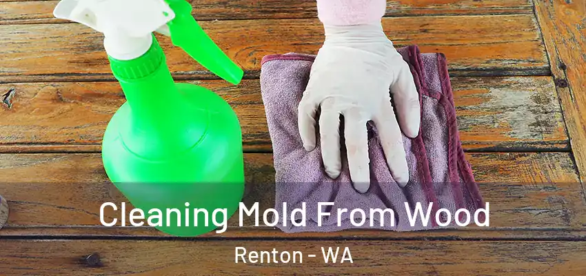 Cleaning Mold From Wood Renton - WA