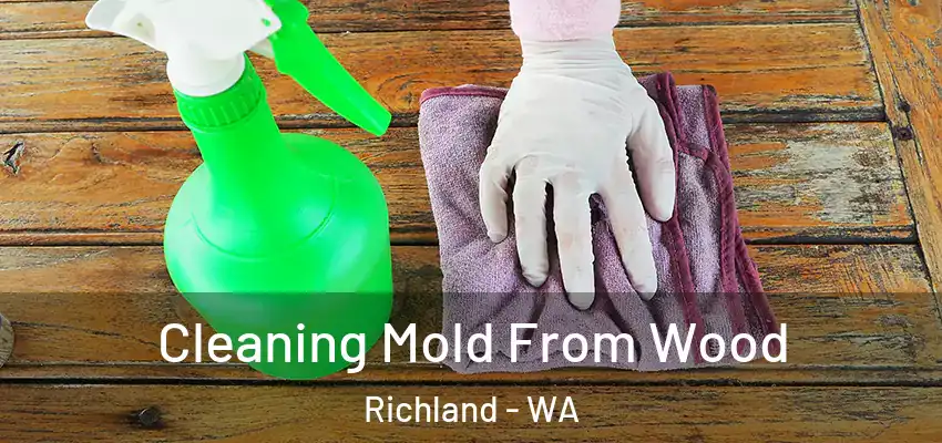  Cleaning Mold From Wood Richland - WA
