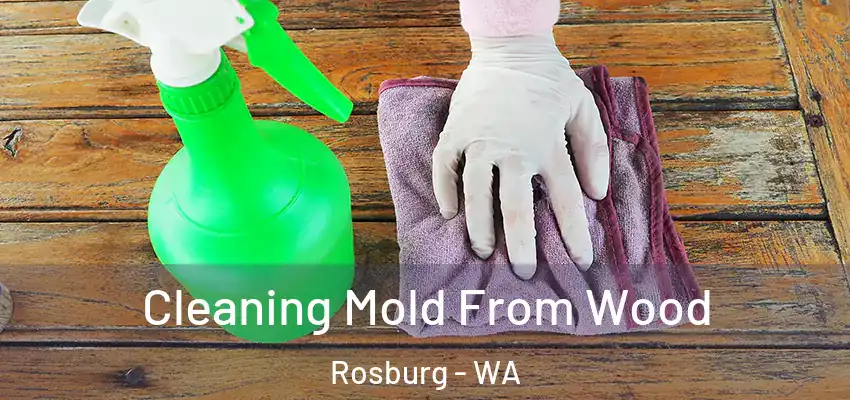 Cleaning Mold From Wood Rosburg - WA