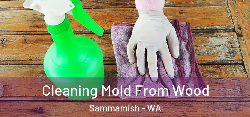  Cleaning Mold From Wood Sammamish - WA