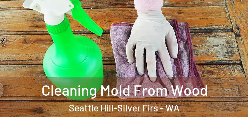  Cleaning Mold From Wood Seattle Hill-Silver Firs - WA
