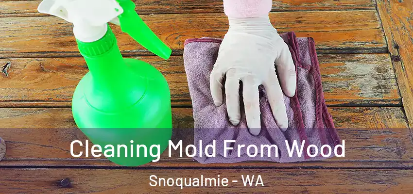 Cleaning Mold From Wood Snoqualmie - WA