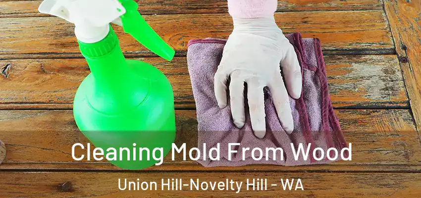  Cleaning Mold From Wood Union Hill-Novelty Hill - WA