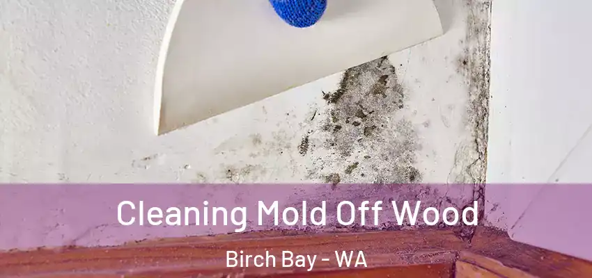  Cleaning Mold Off Wood Birch Bay - WA
