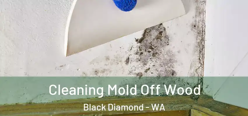  Cleaning Mold Off Wood Black Diamond - WA