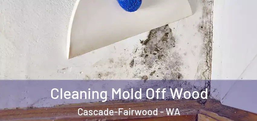  Cleaning Mold Off Wood Cascade-Fairwood - WA