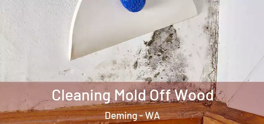  Cleaning Mold Off Wood Deming - WA