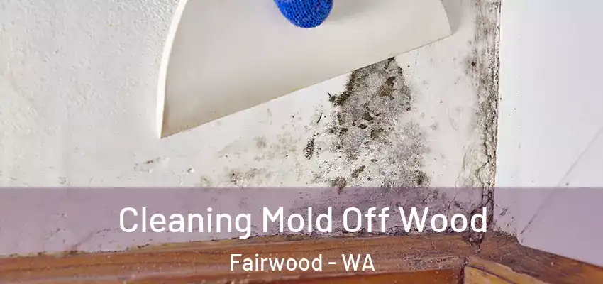 Cleaning Mold Off Wood Fairwood - WA