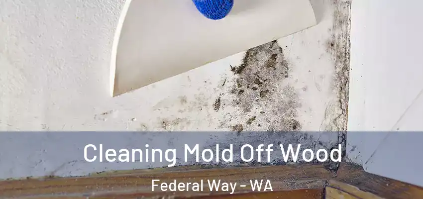  Cleaning Mold Off Wood Federal Way - WA