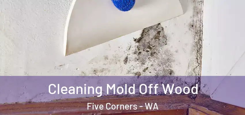  Cleaning Mold Off Wood Five Corners - WA