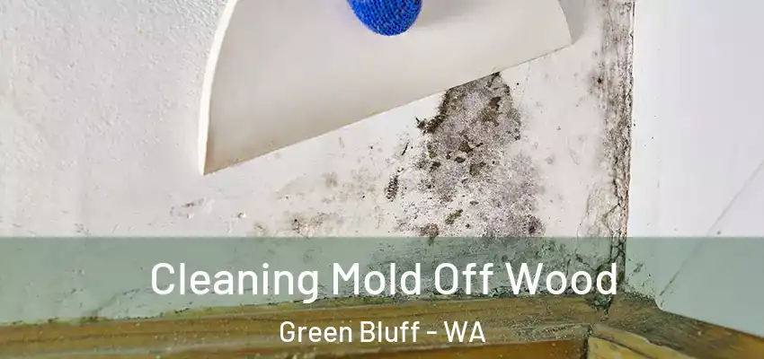 Cleaning Mold Off Wood Green Bluff - WA